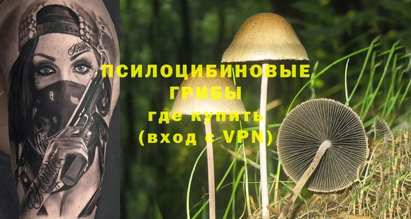 молекула духа Алексин