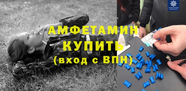 молекула духа Алексин