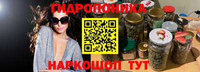 соль ск Кулебаки