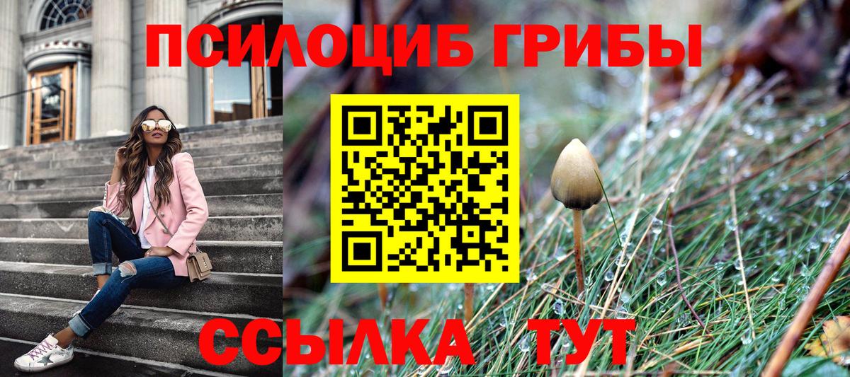 Галлюциногенные грибы Magic Shrooms  Вход с VPN  Волжский  Галлюциногенные грибы прущие грибы 