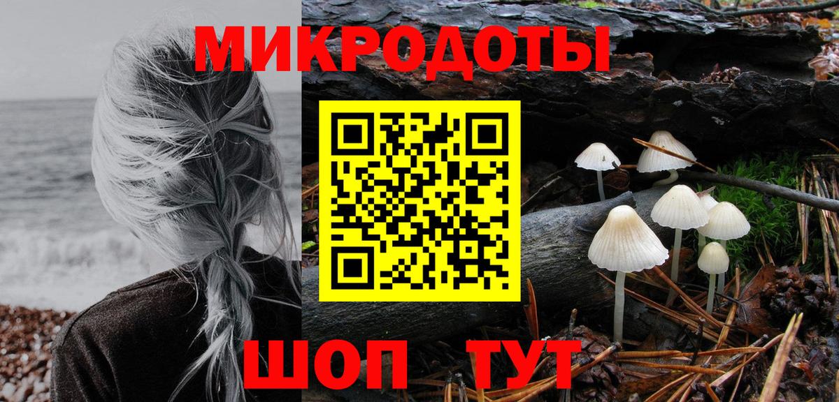 Галлюциногенные грибы Psilocybine cubensis Волжский