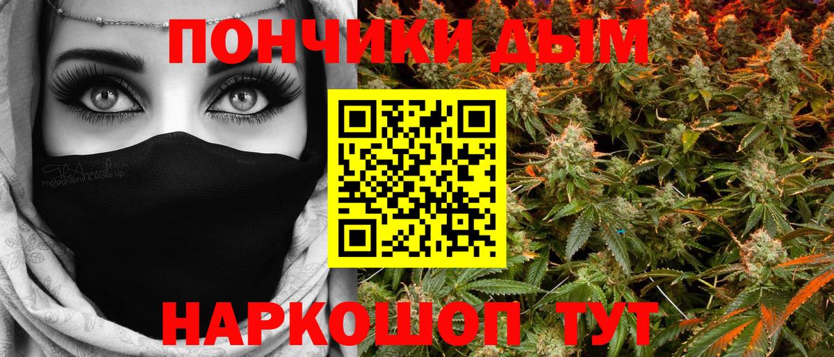 Конопля гибрид Волжский